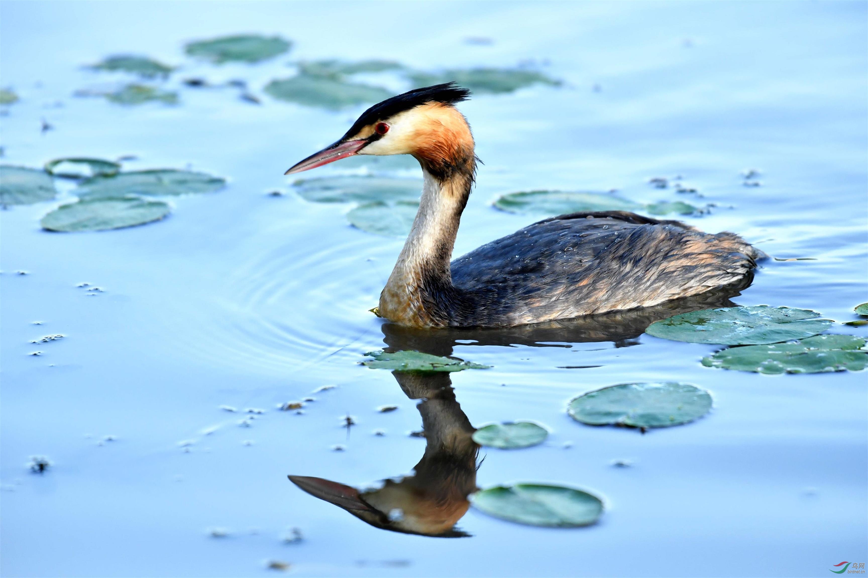 DSC_1204.JPG