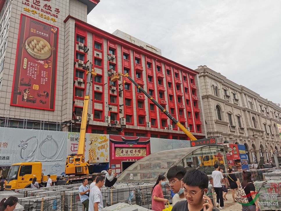 IMG_20200826_150652-p-2.jpg