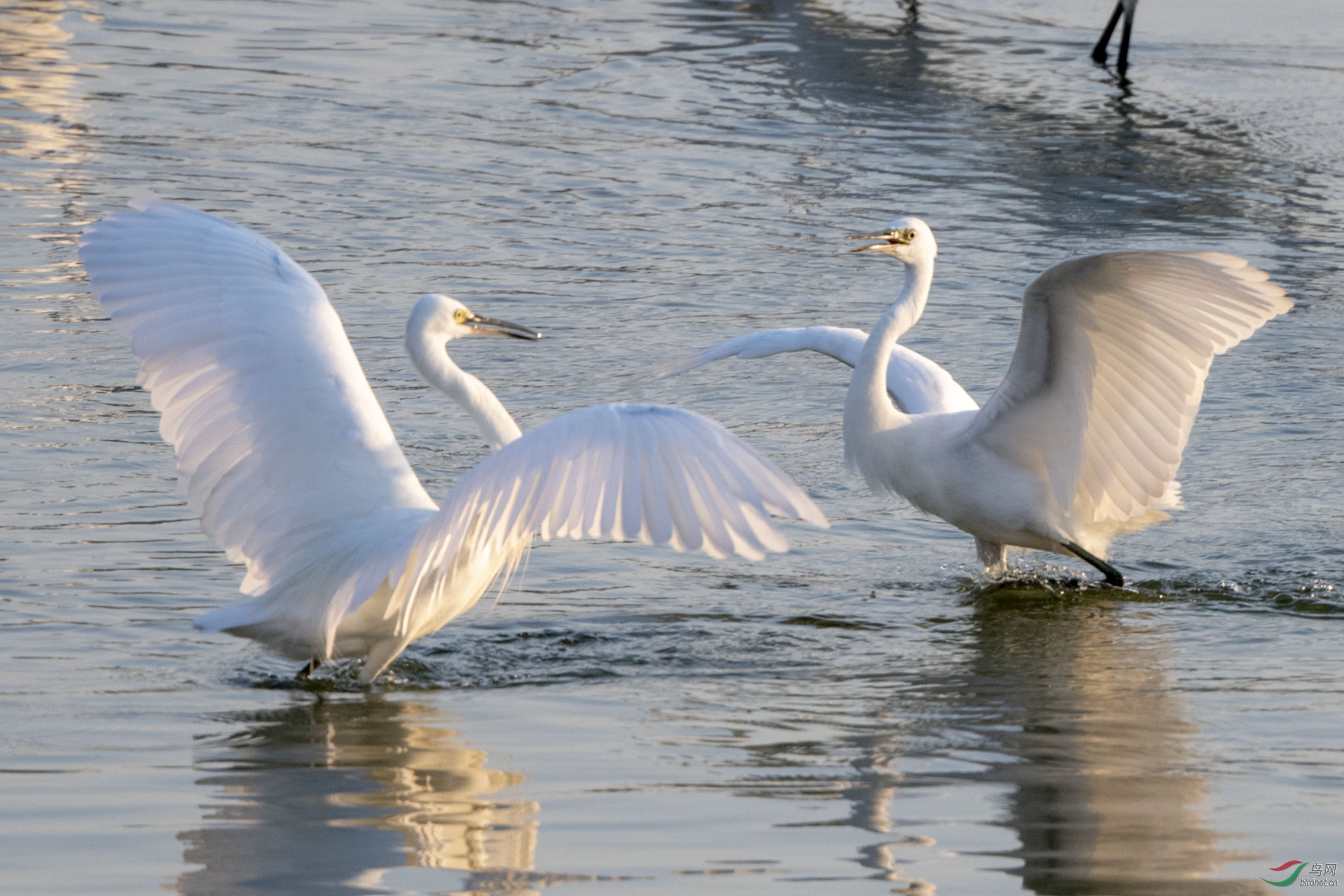 D50_5882.jpg