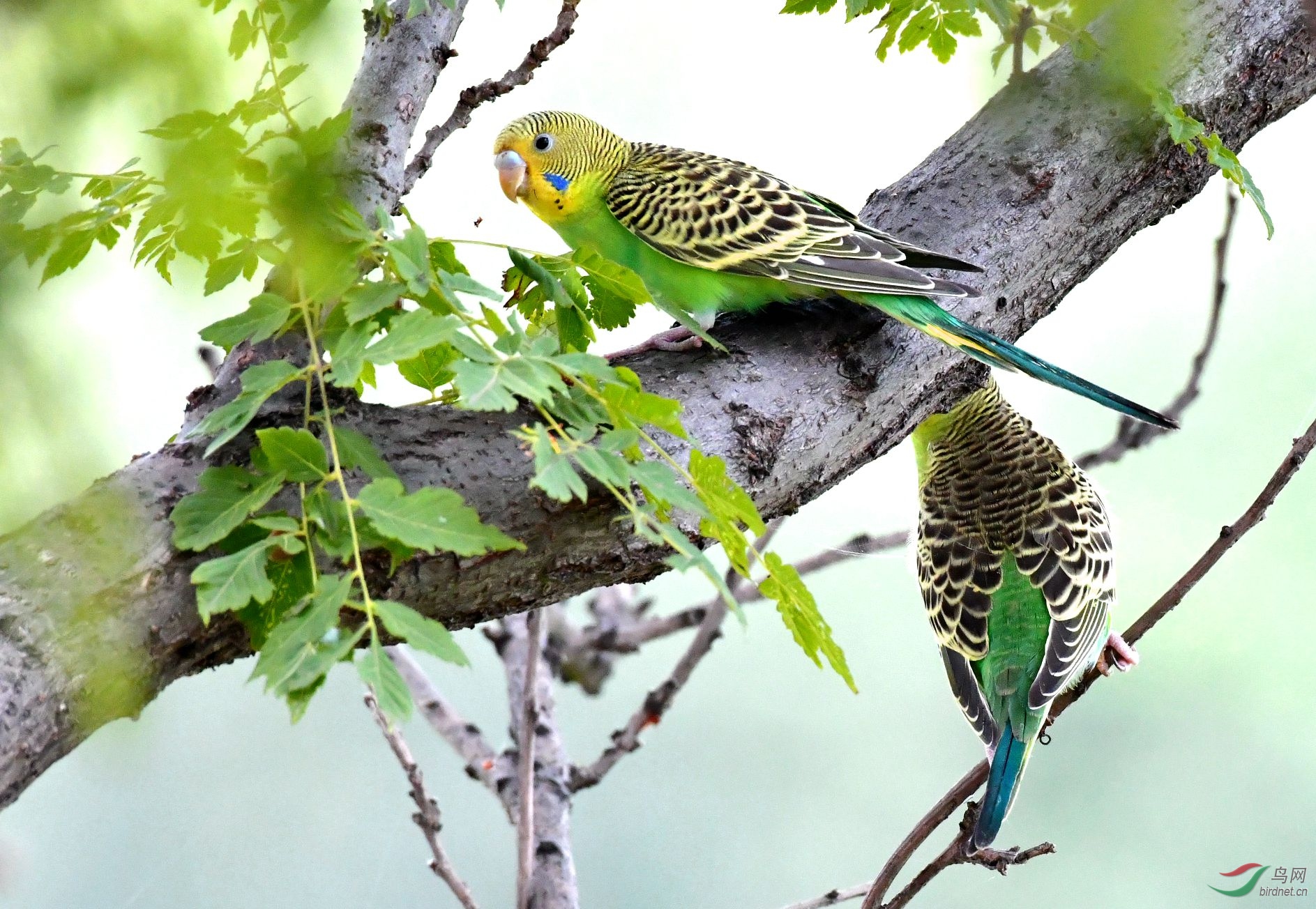 DSC_4359_����.jpg
