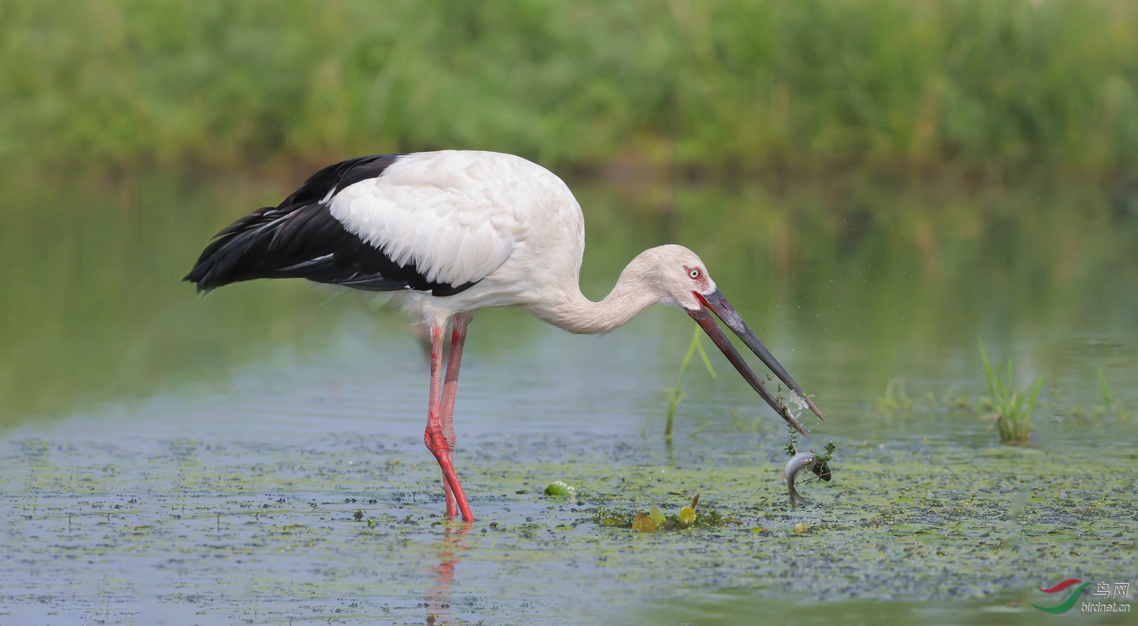 AS9I0318_��ͼ��(1)_����_����_����.jpg