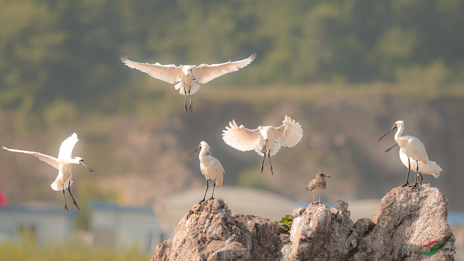ISO400  ����600  F/5  1/2000�룩