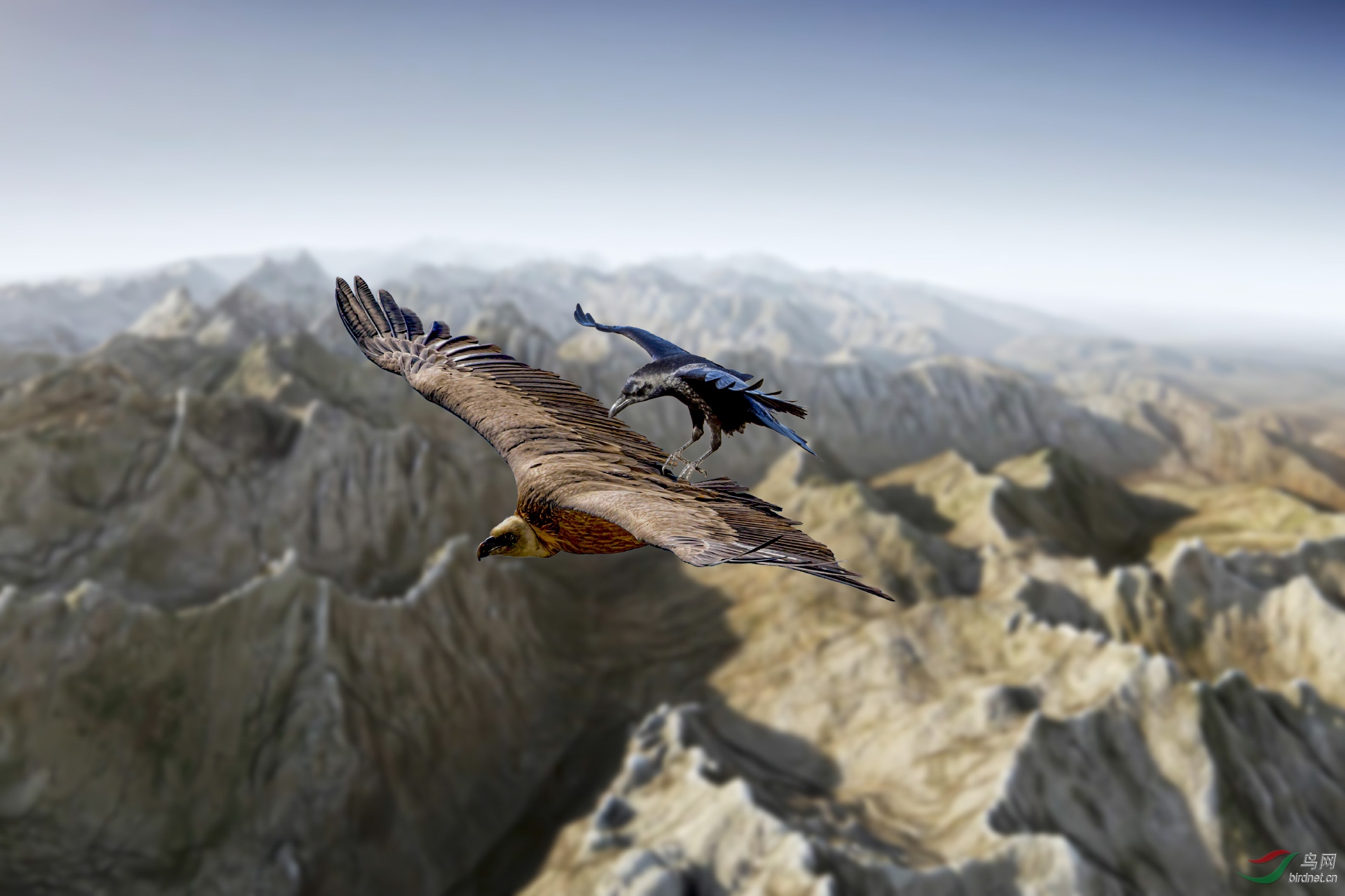 ������ 1920x500k.jpg