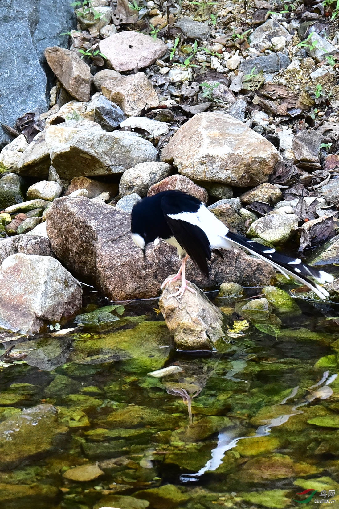 DSC_1207.JPG