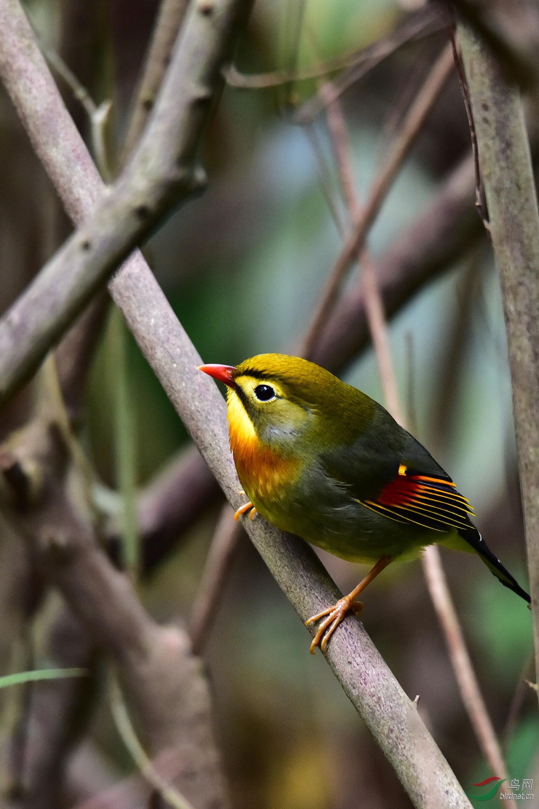 DSC_0078.JPG