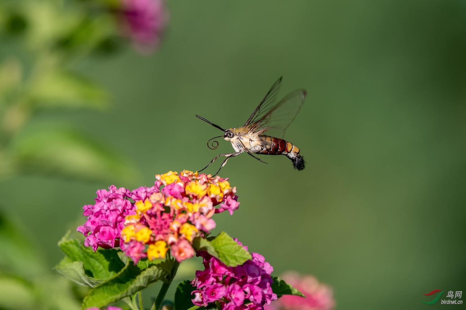 A9D03860a.jpg