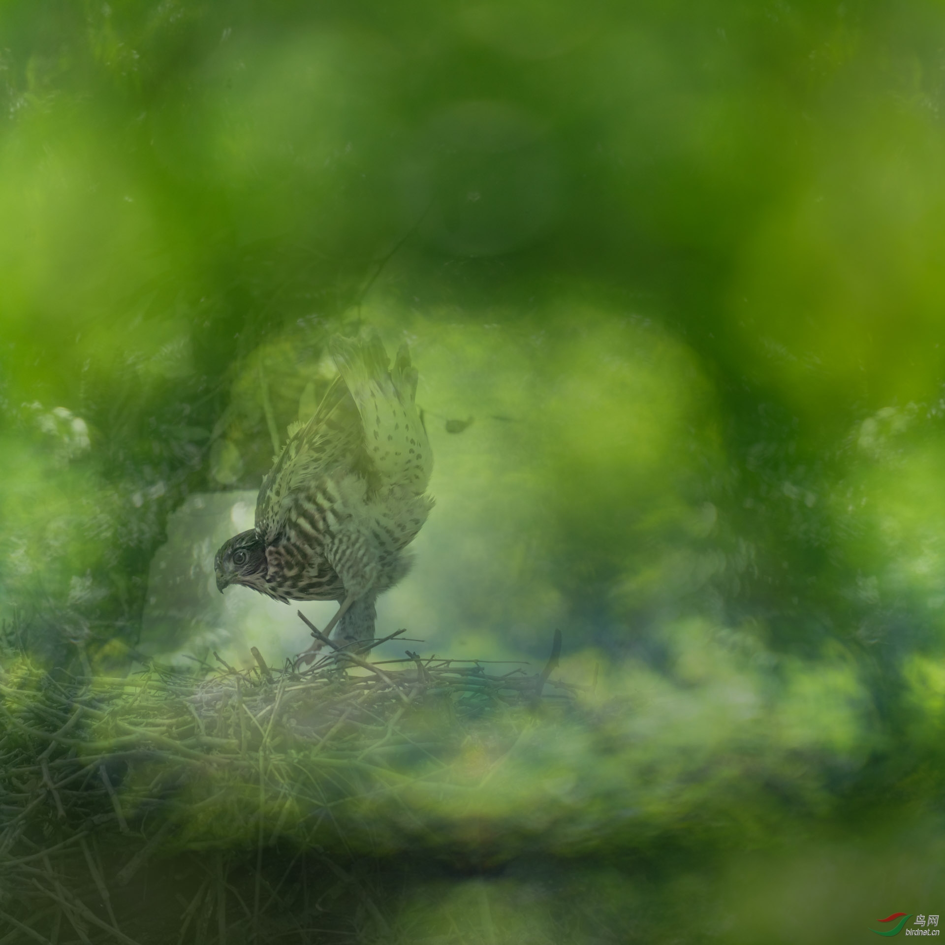 _DSC4666 (4677 4676) s.JPG