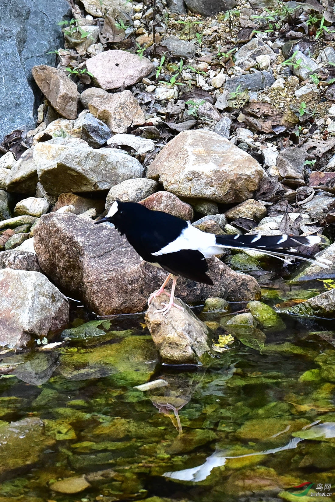 DSC_1210.JPG