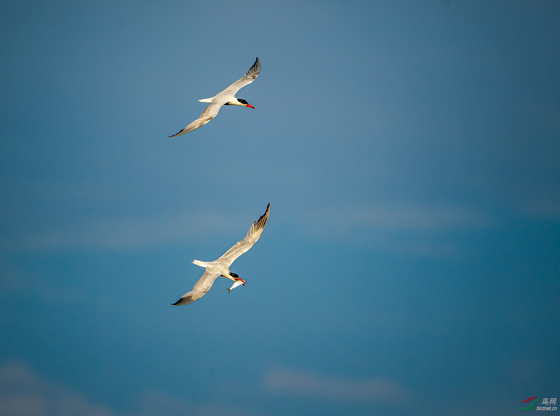 DSC_2880.jpg