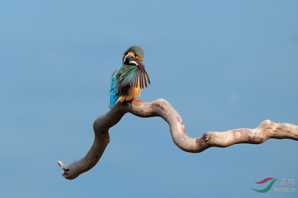 DSC_4733_DxOa.jpg