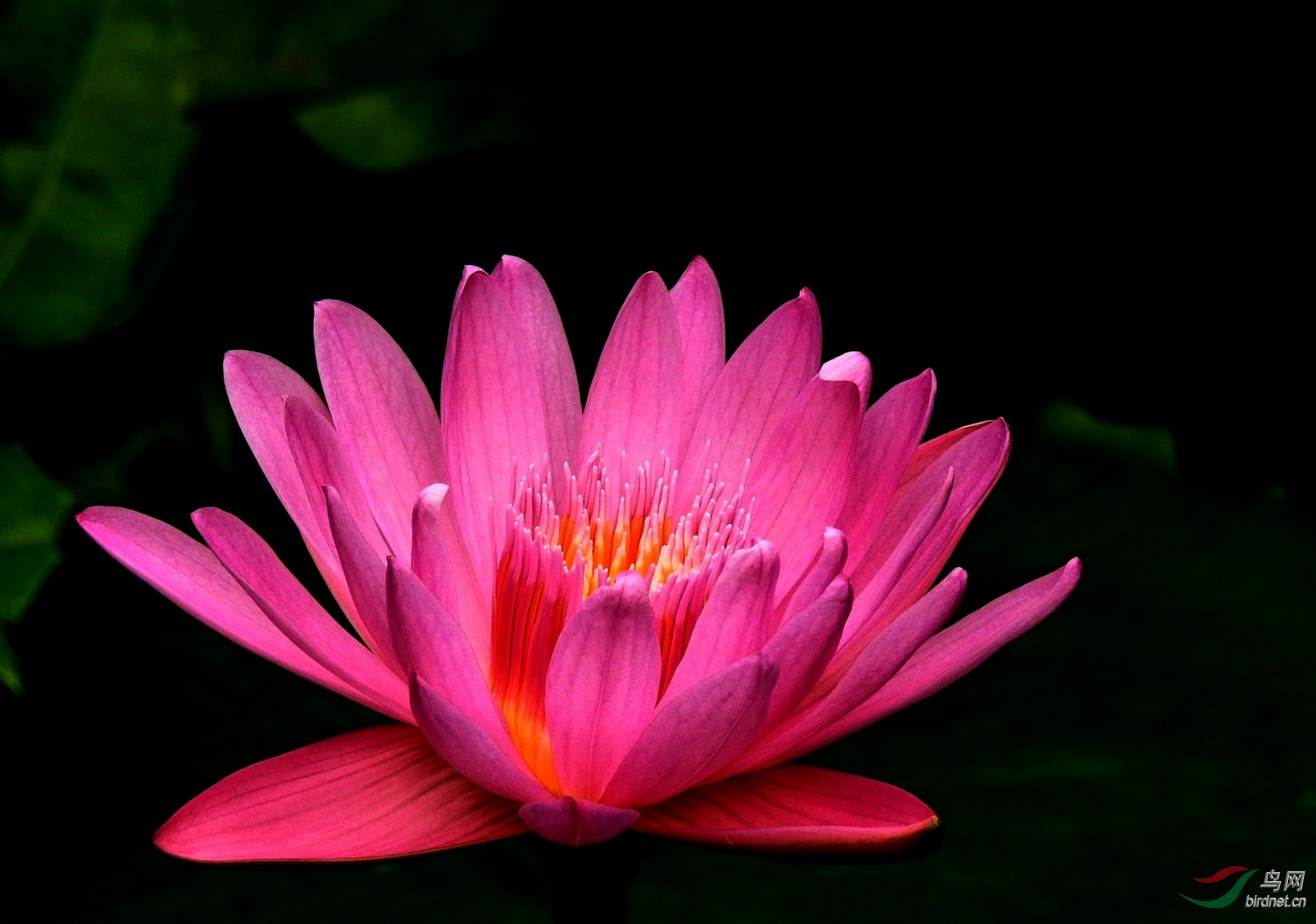 DSCN5606.JPG