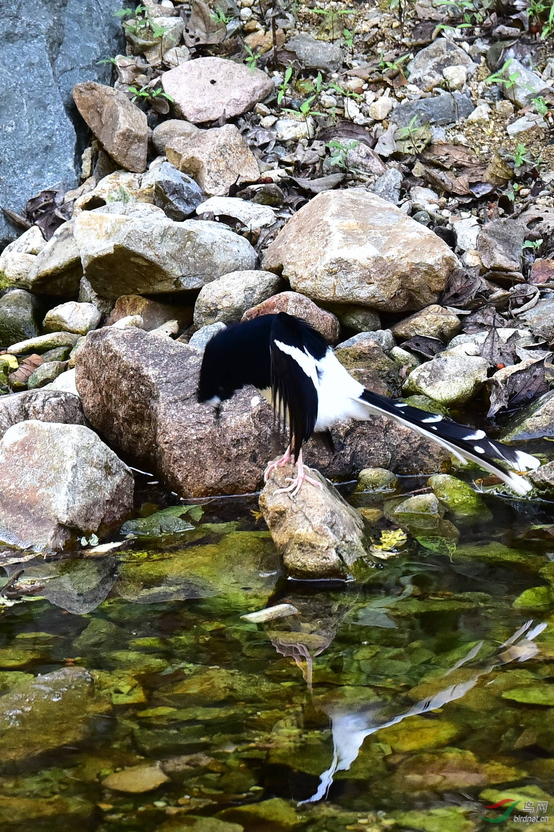 DSC_1211.JPG