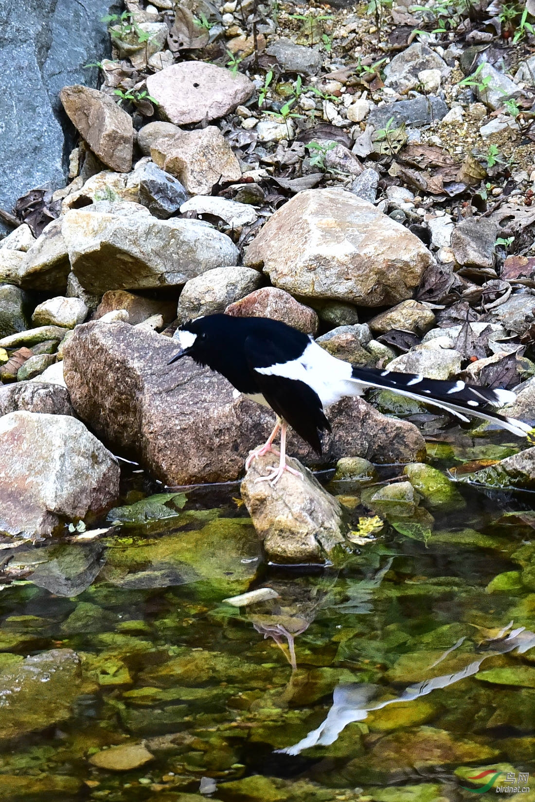 DSC_1213.JPG
