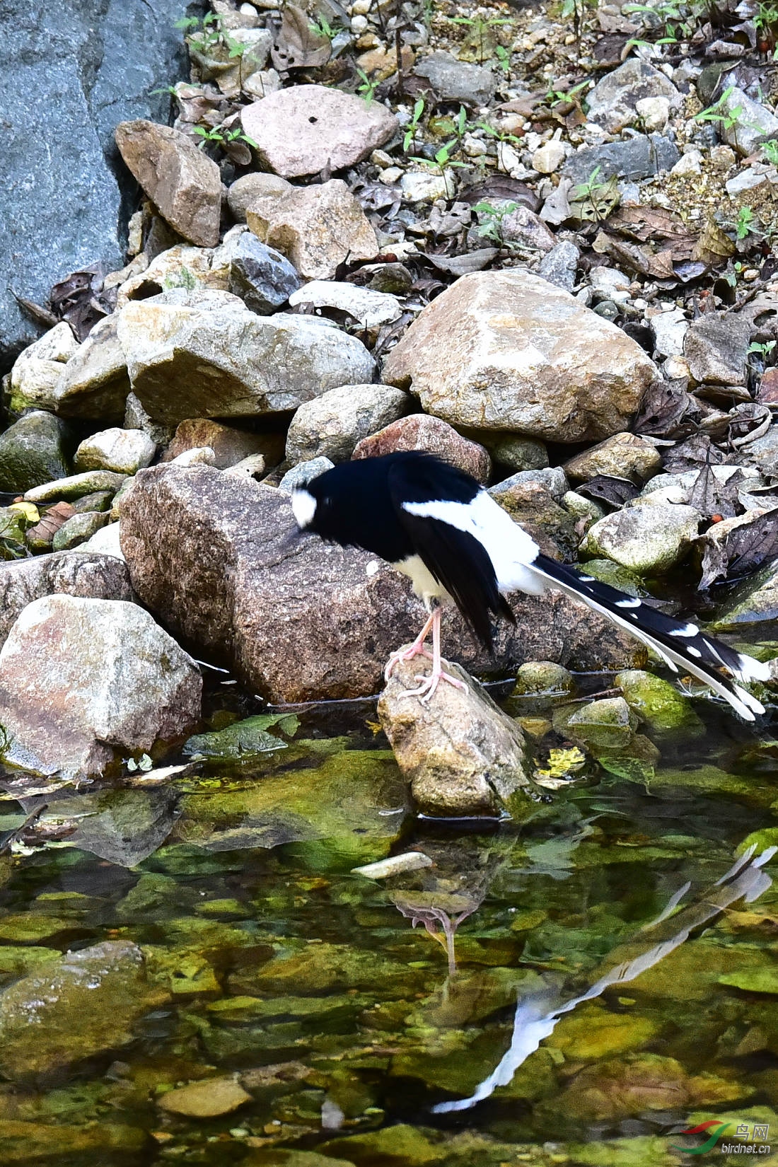 DSC_1214.JPG