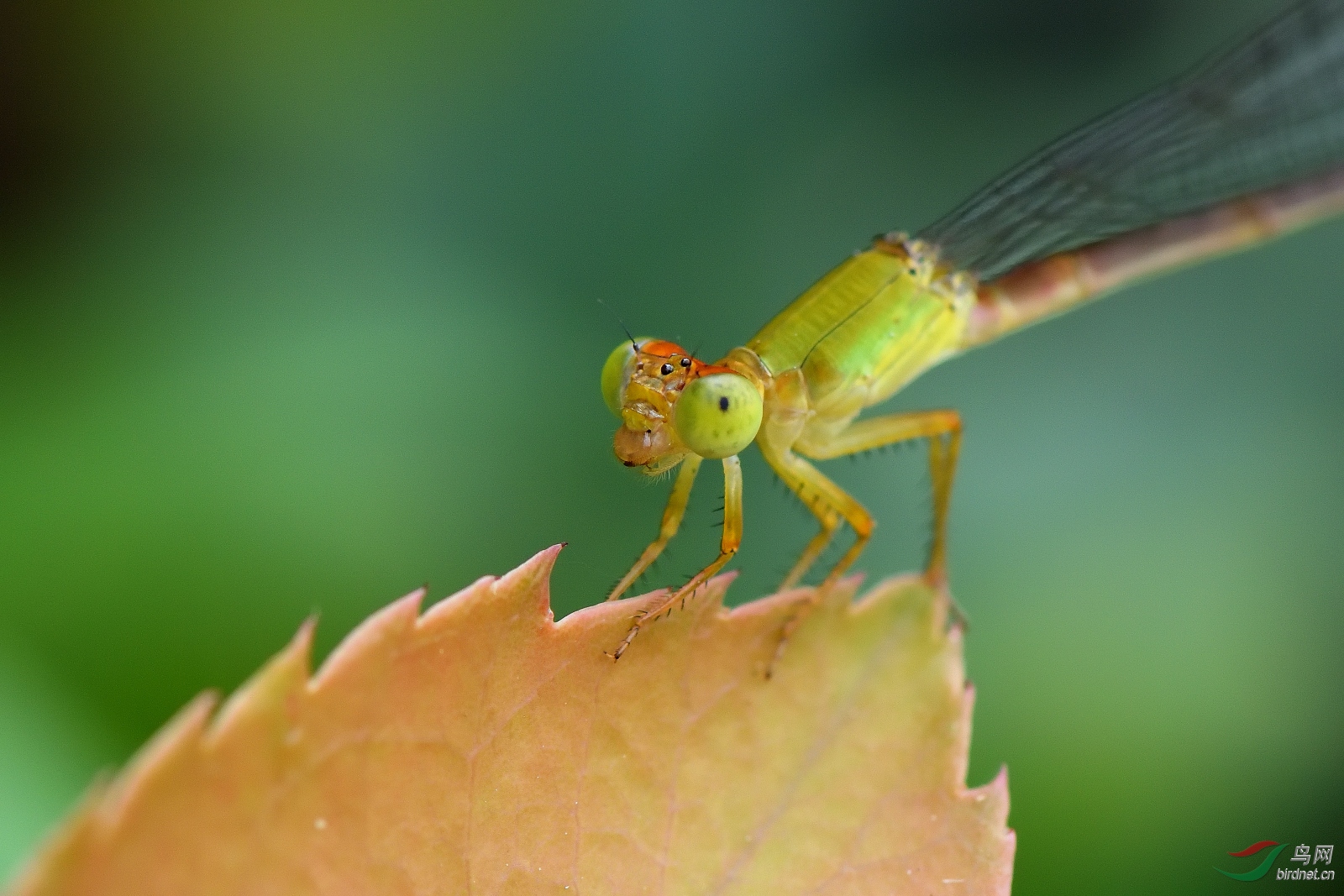 DSC_7963_00007.jpg