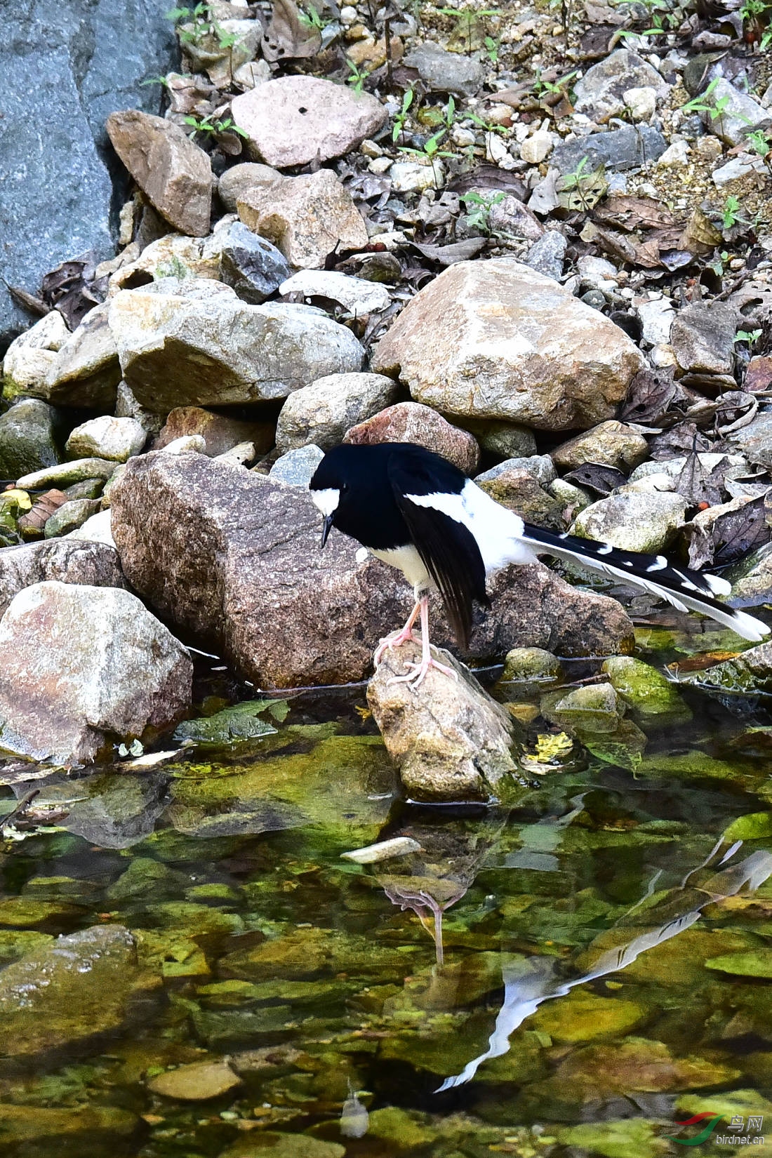 DSC_1216.JPG