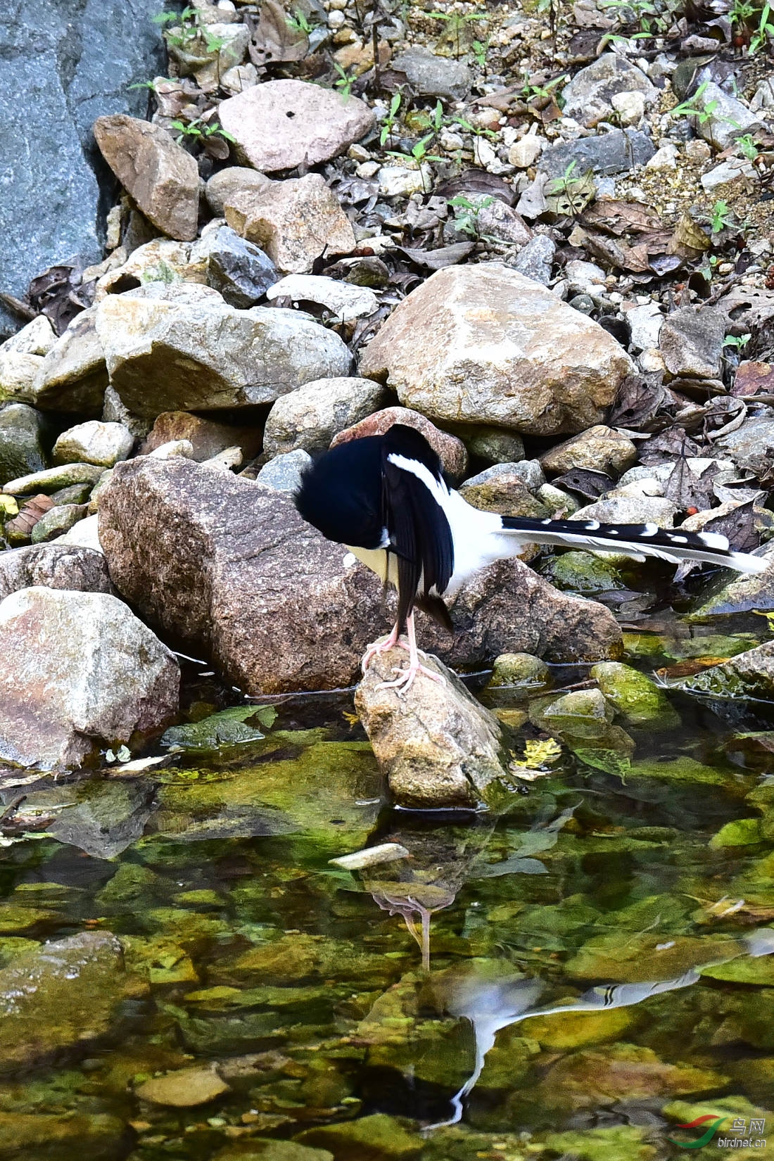 DSC_1217.JPG