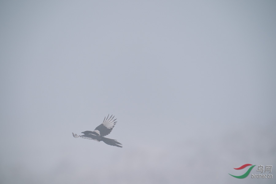 DSC00725.jpg