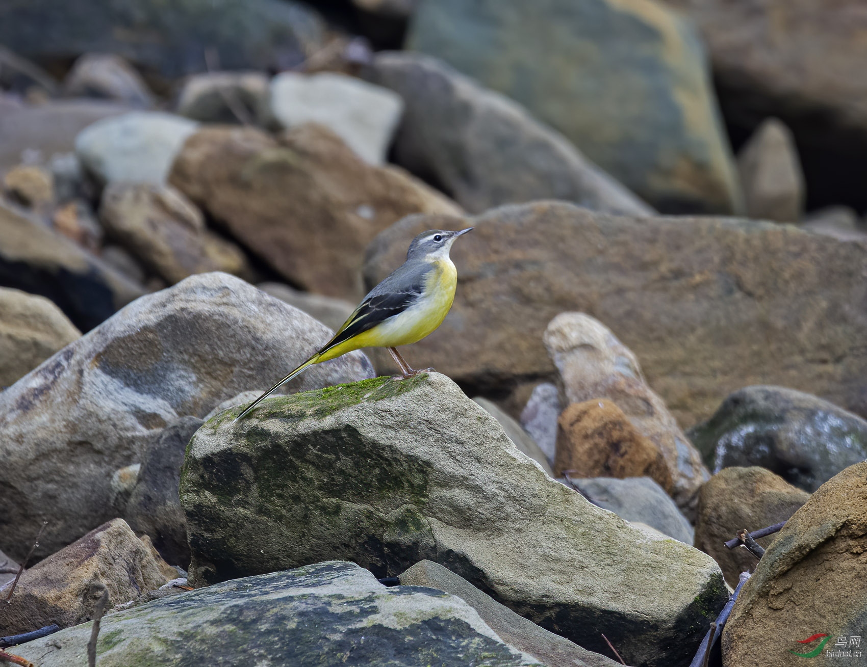 DSC_4791.jpg