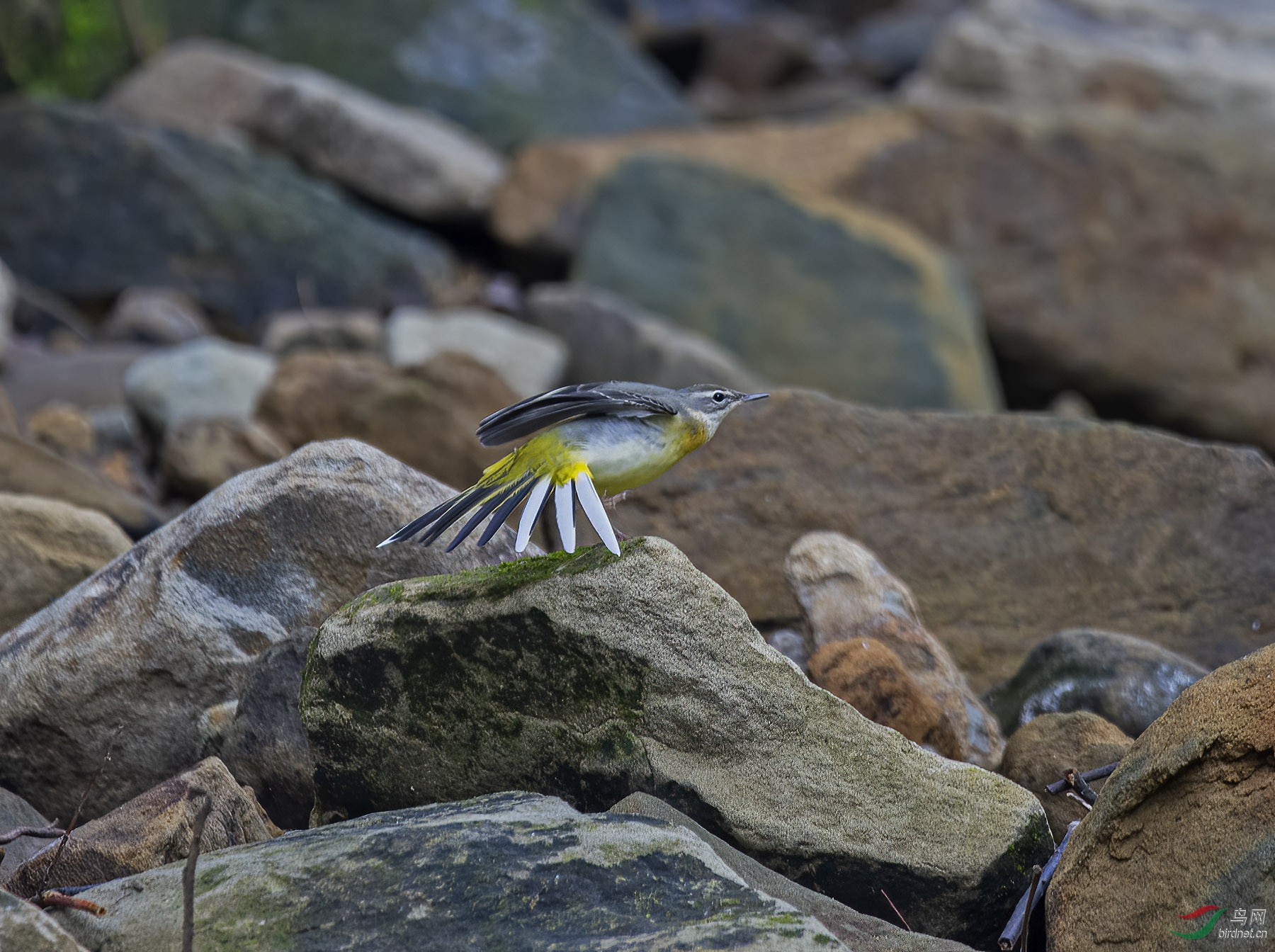 DSC_4807.jpg
