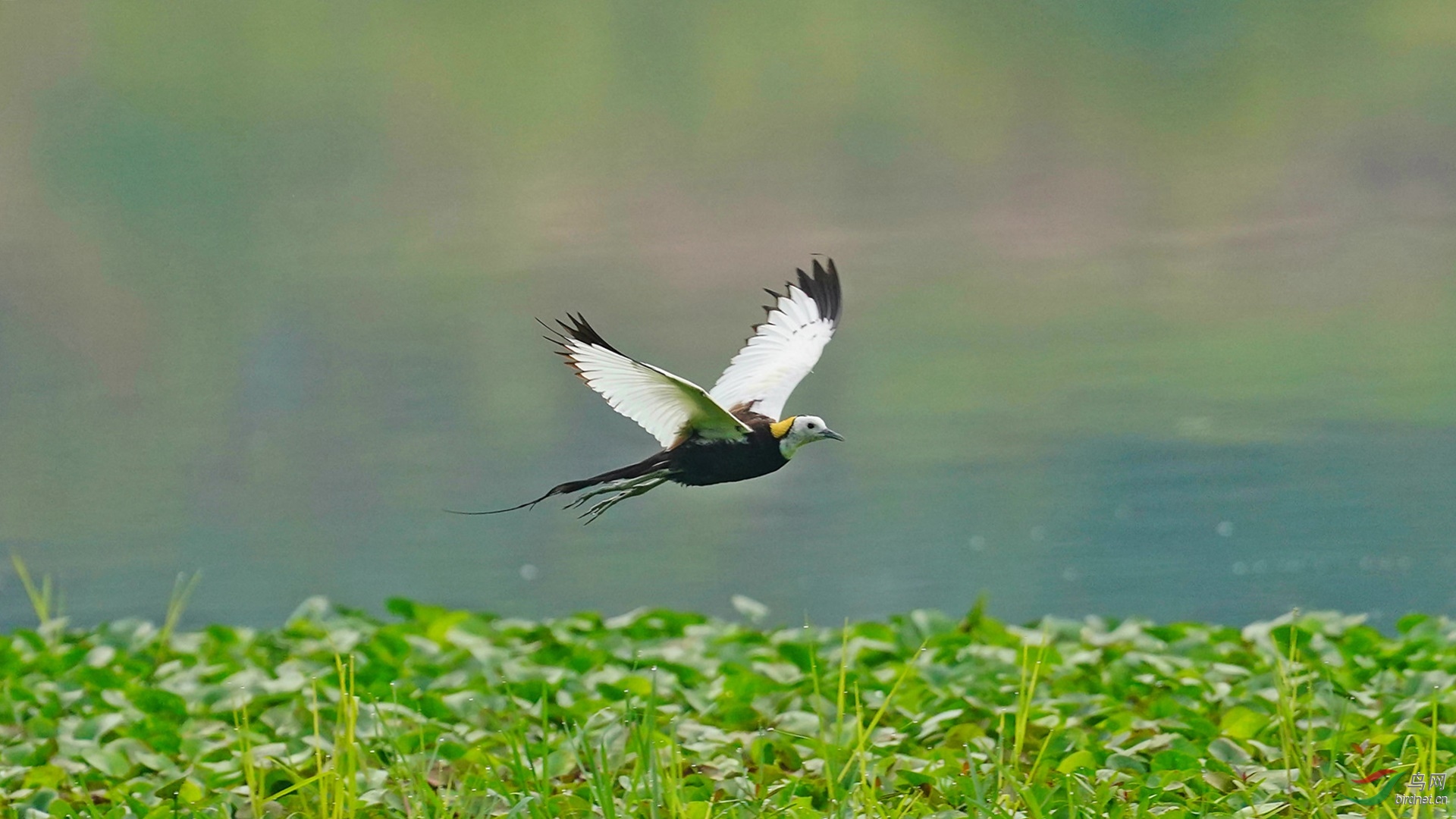 DSC06581_���� (2)_����.jpg