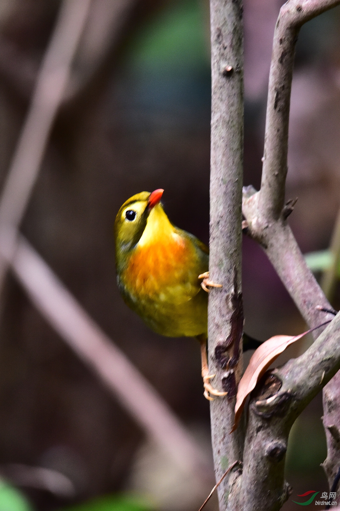 DSC_0090.JPG