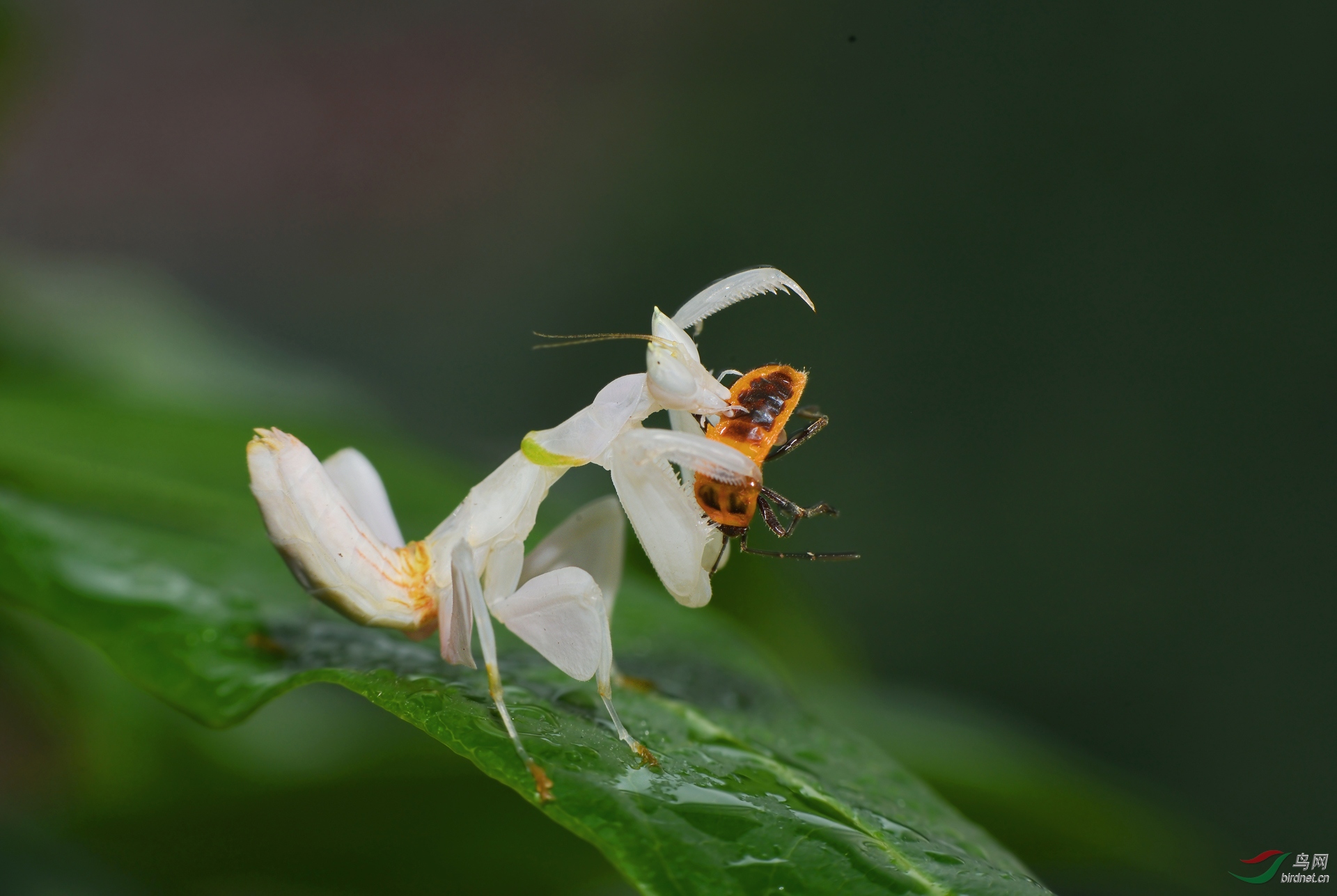 DSC_3092.JPG