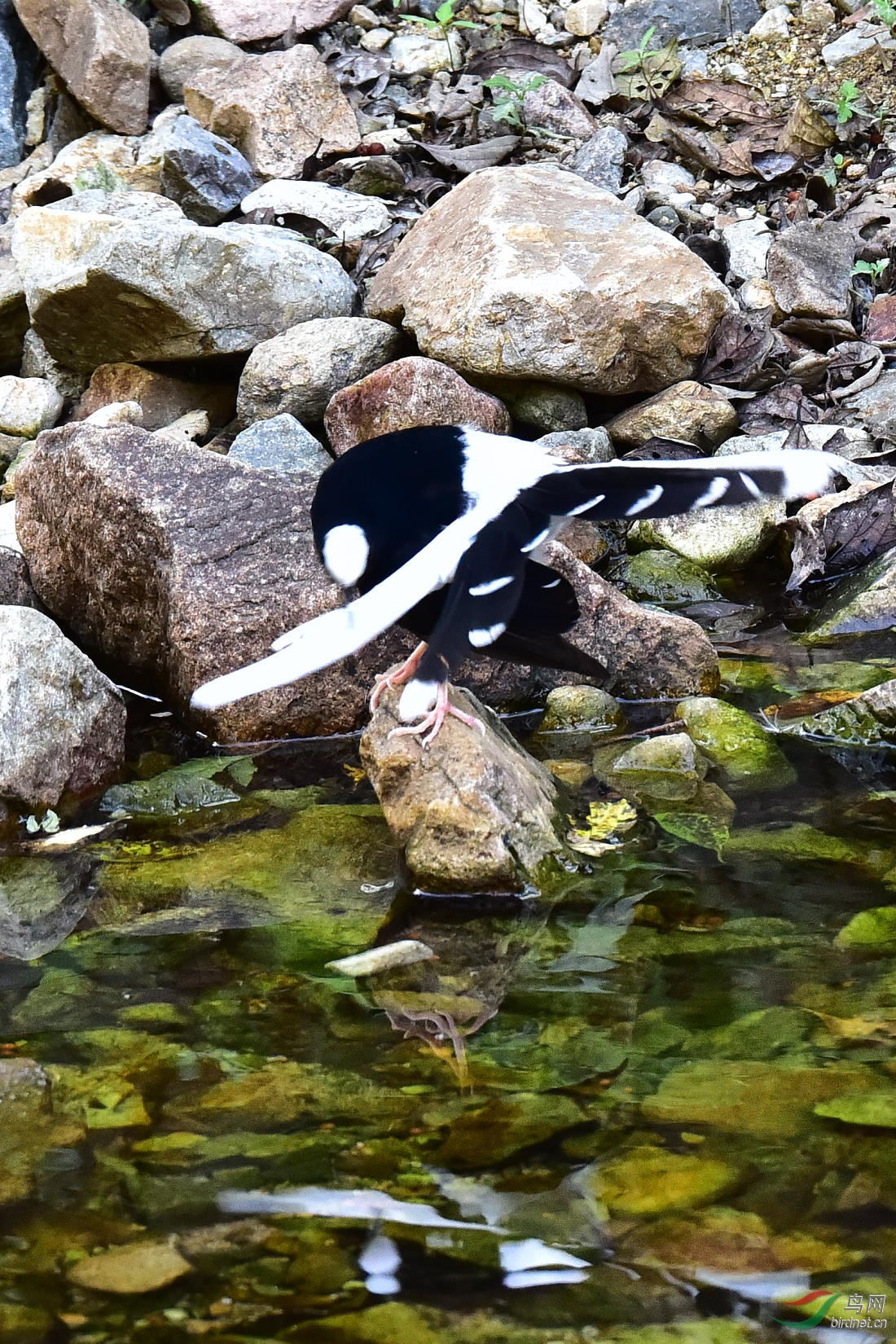 DSC_1222.JPG
