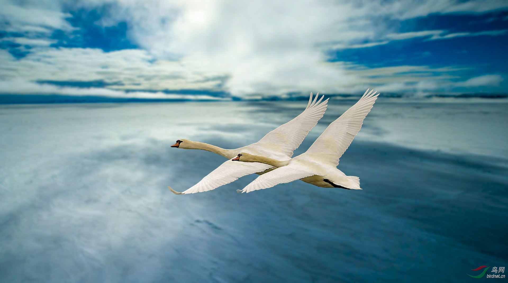 ����Ը�������� 1920x500k.jpg