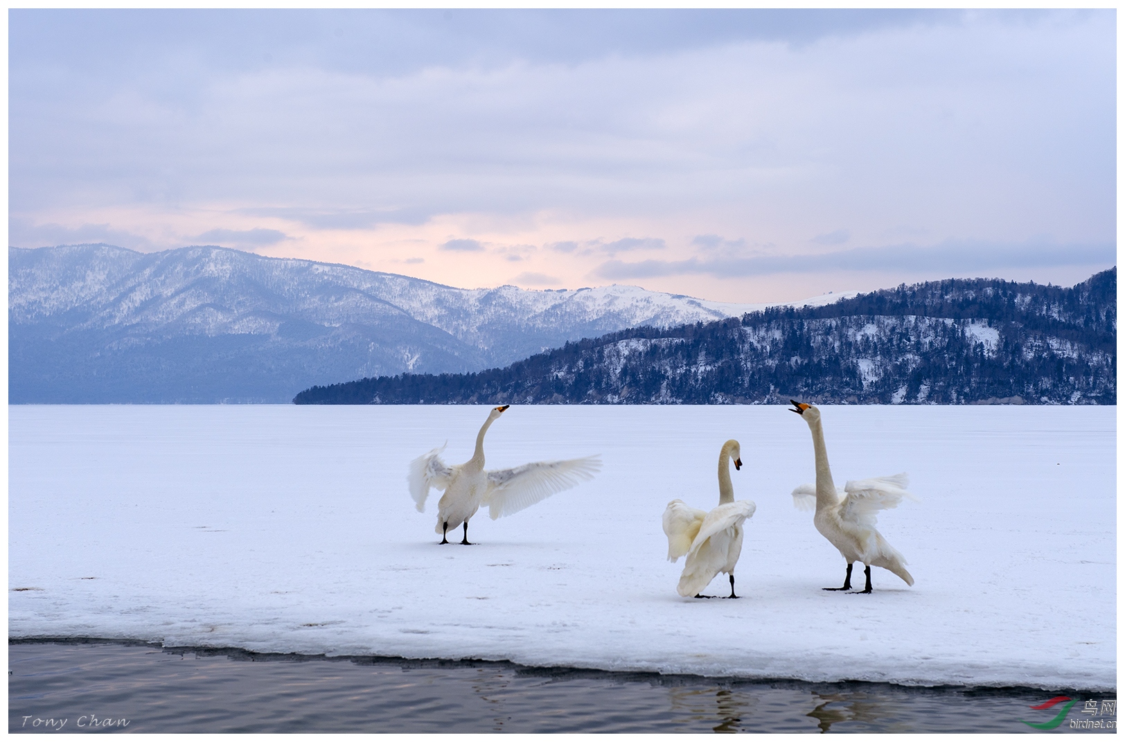 ��DSC_3759.jpg