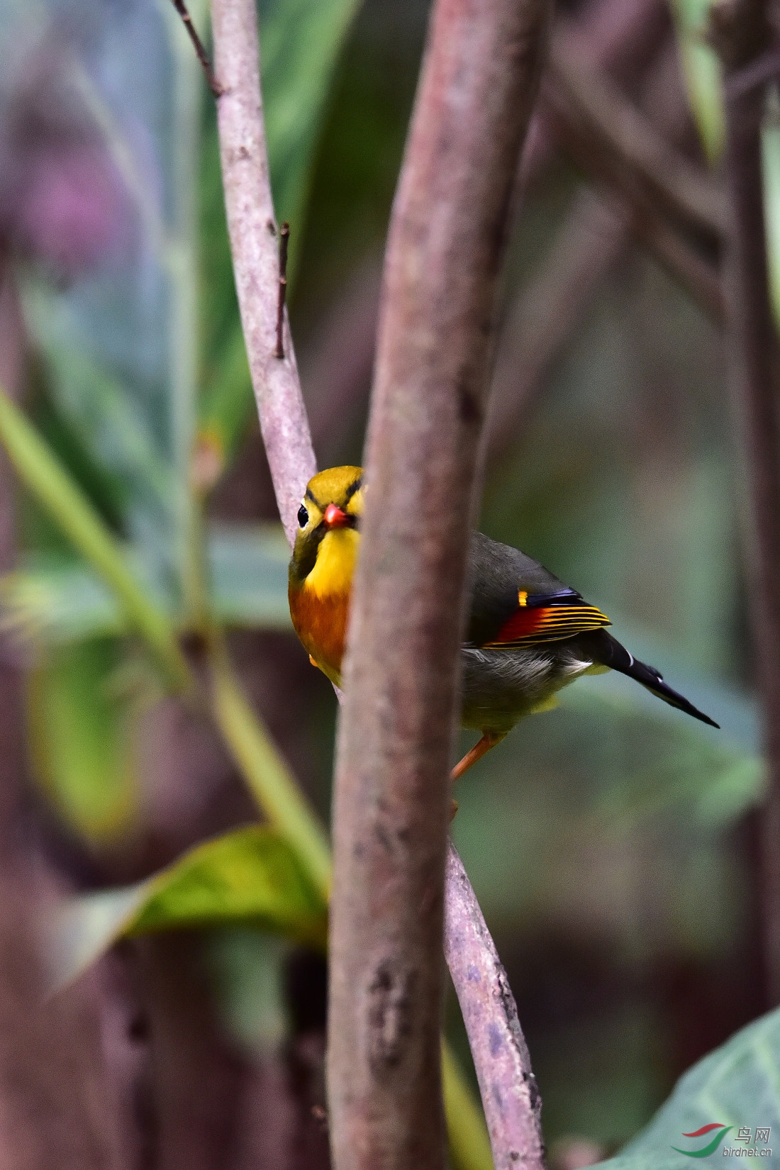 DSC_0096.JPG