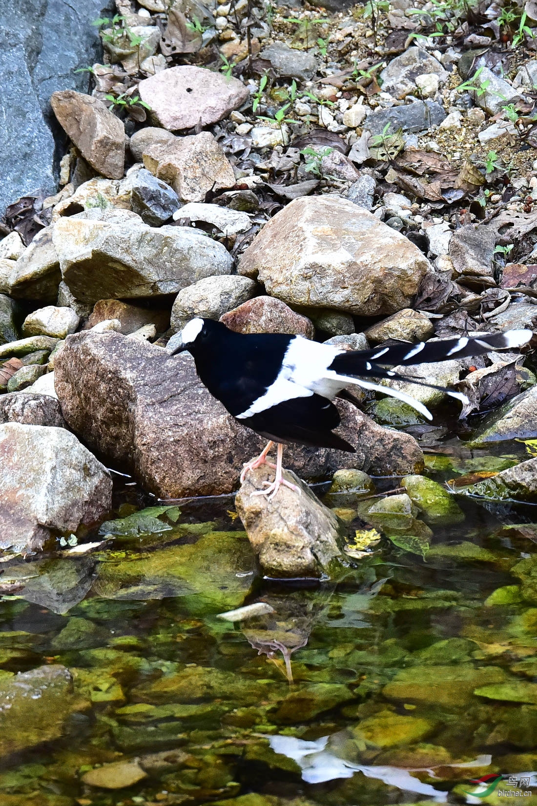 DSC_1225.JPG
