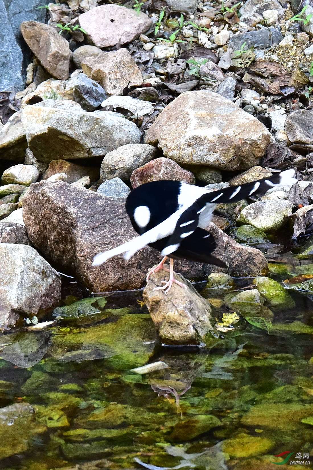 DSC_1226.JPG