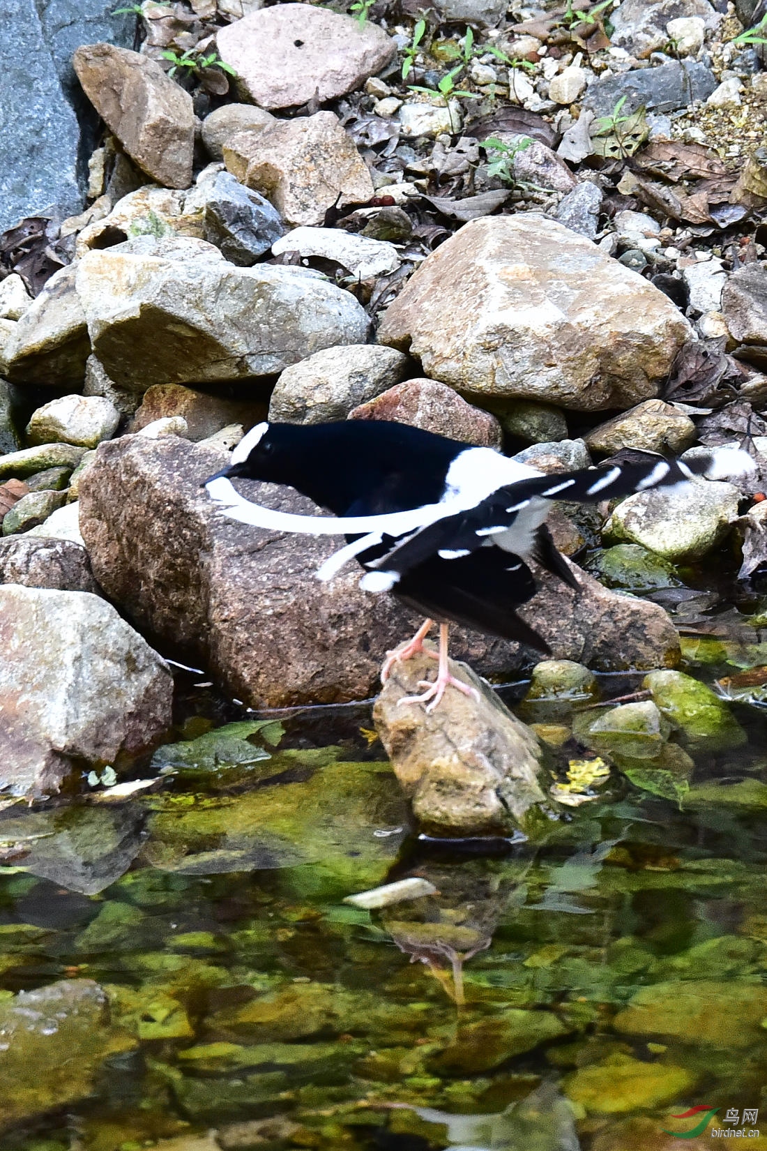 DSC_1227.JPG