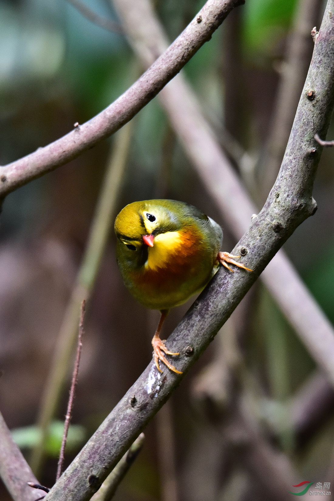 DSC_0098.JPG