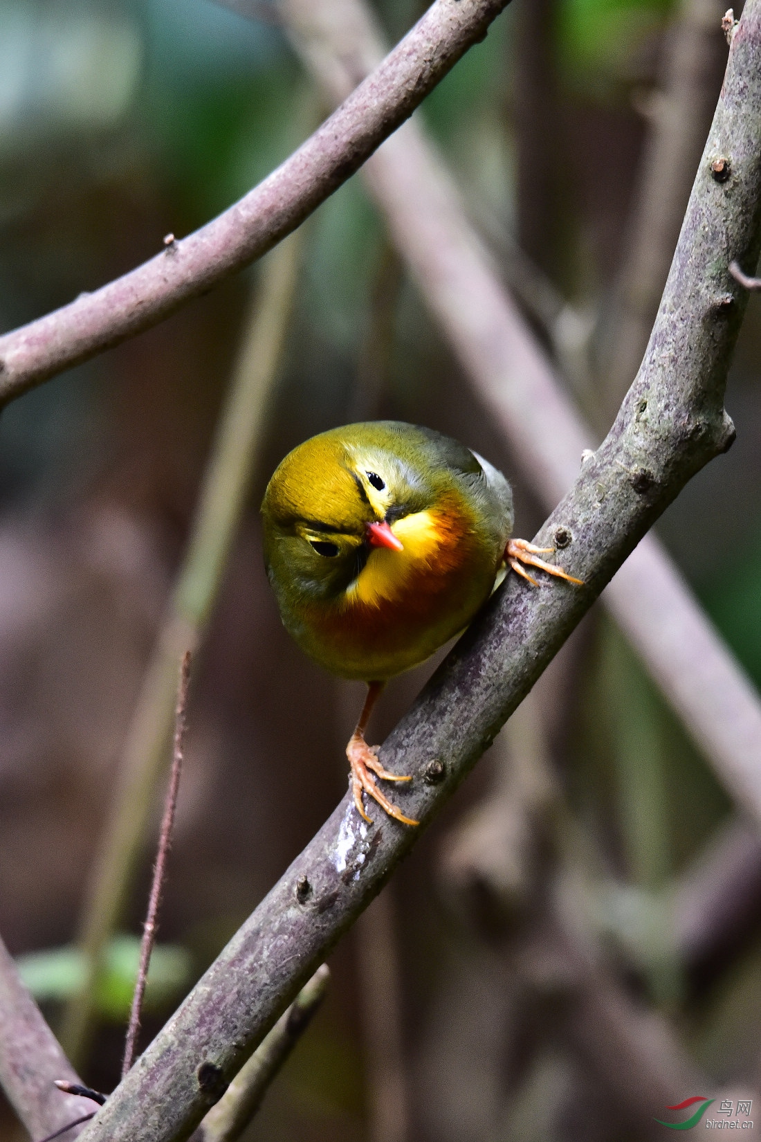 DSC_0099.JPG