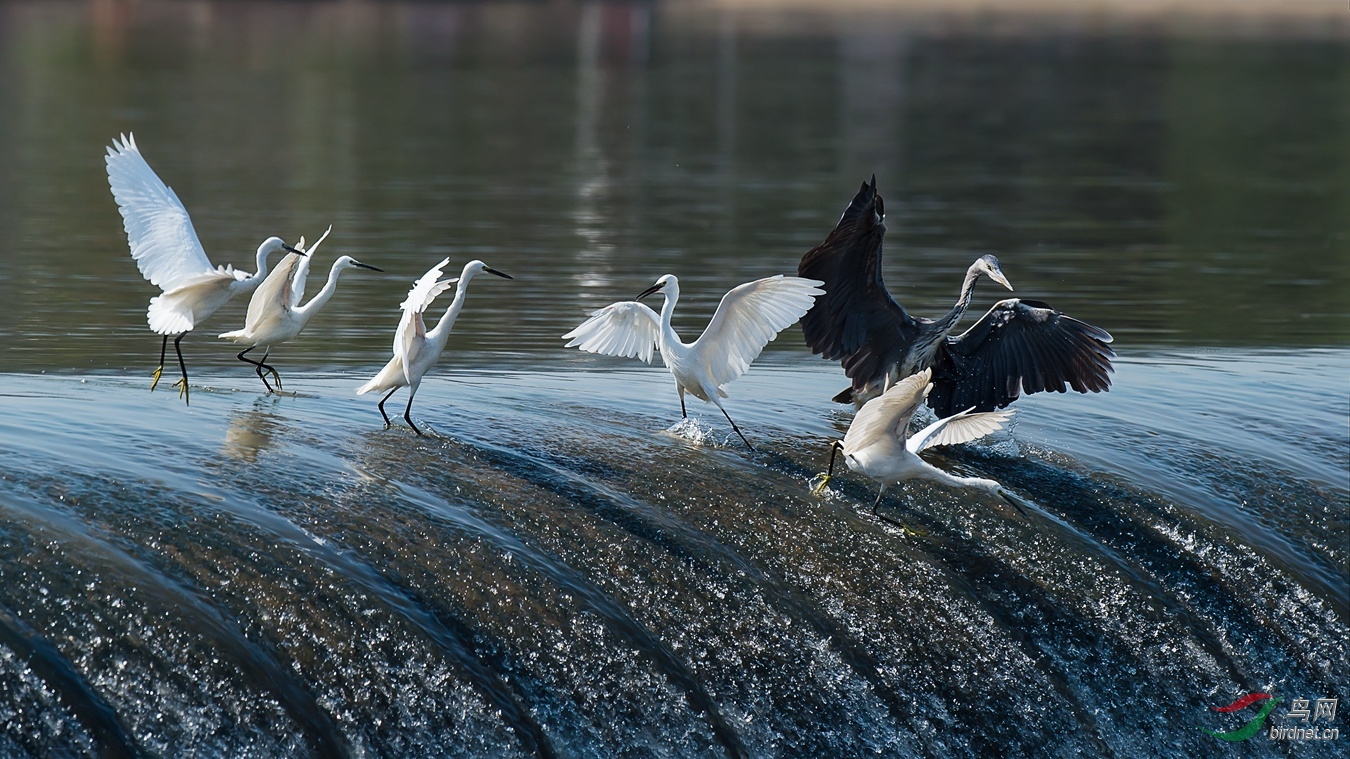 XCG_0006 - ����.jpg