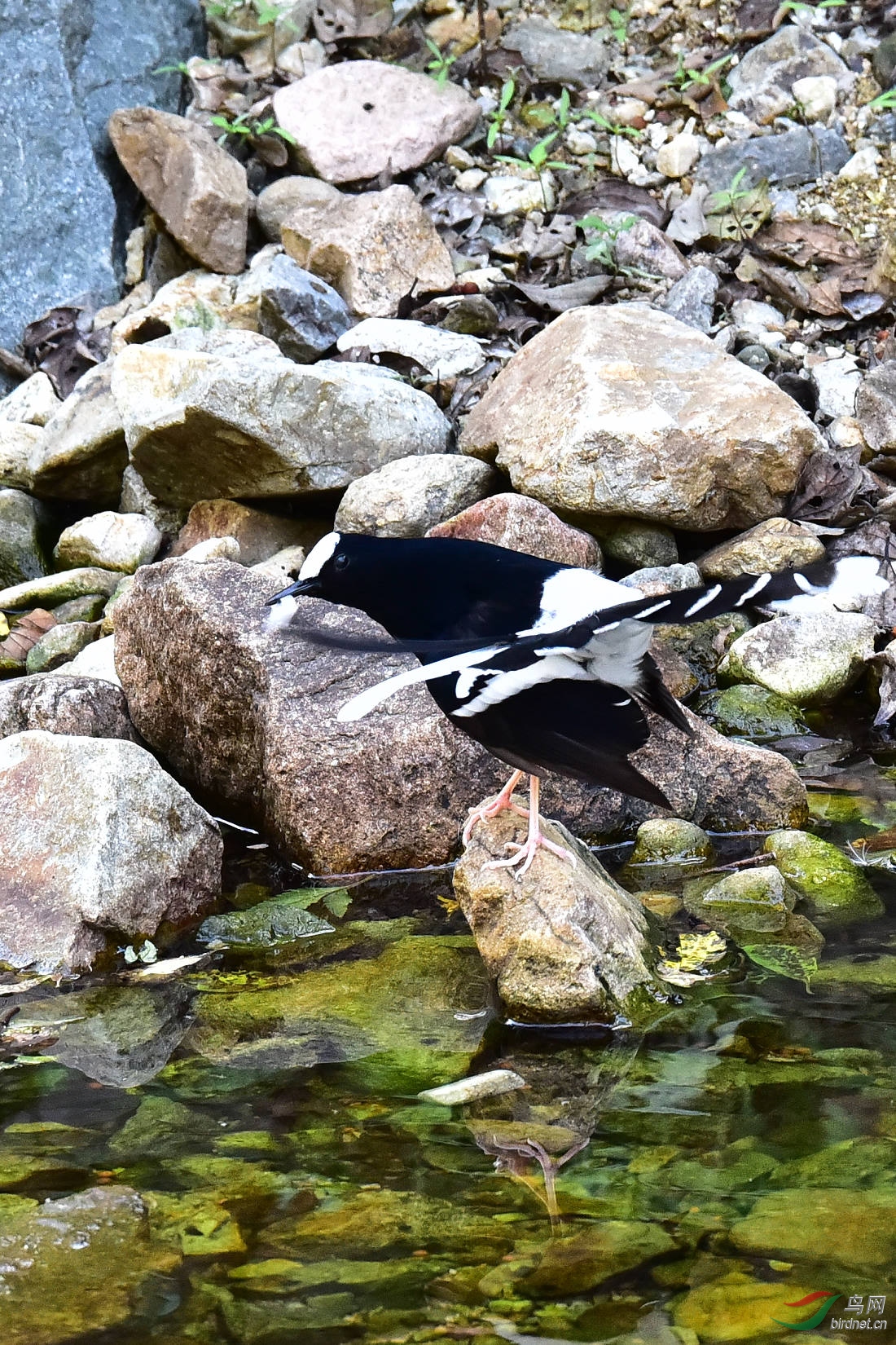 DSC_1231.JPG