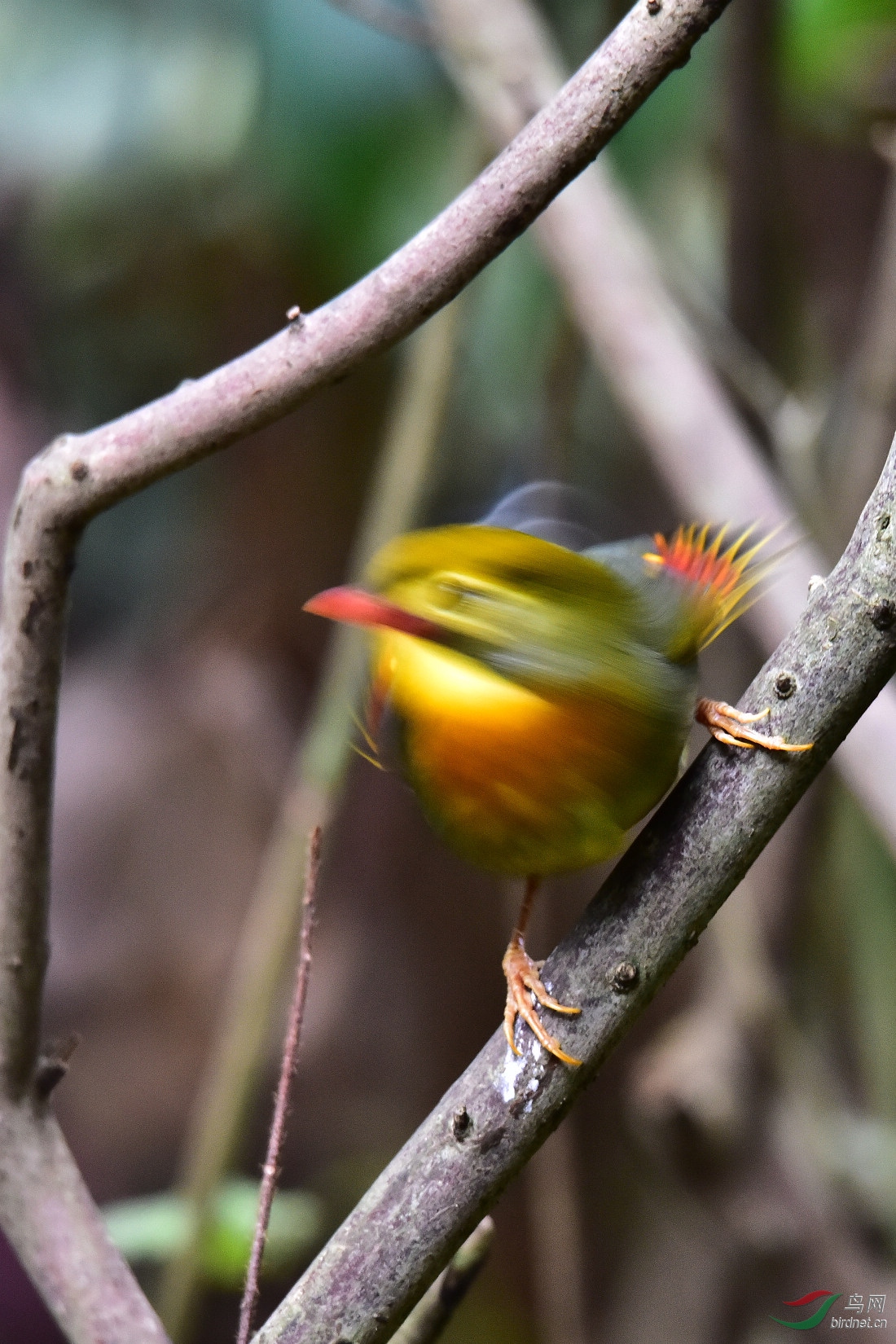 DSC_0101.JPG