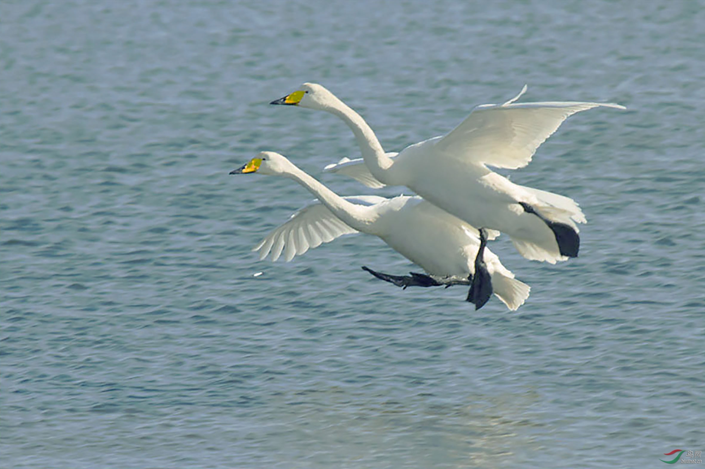 IMG_8993.jpg