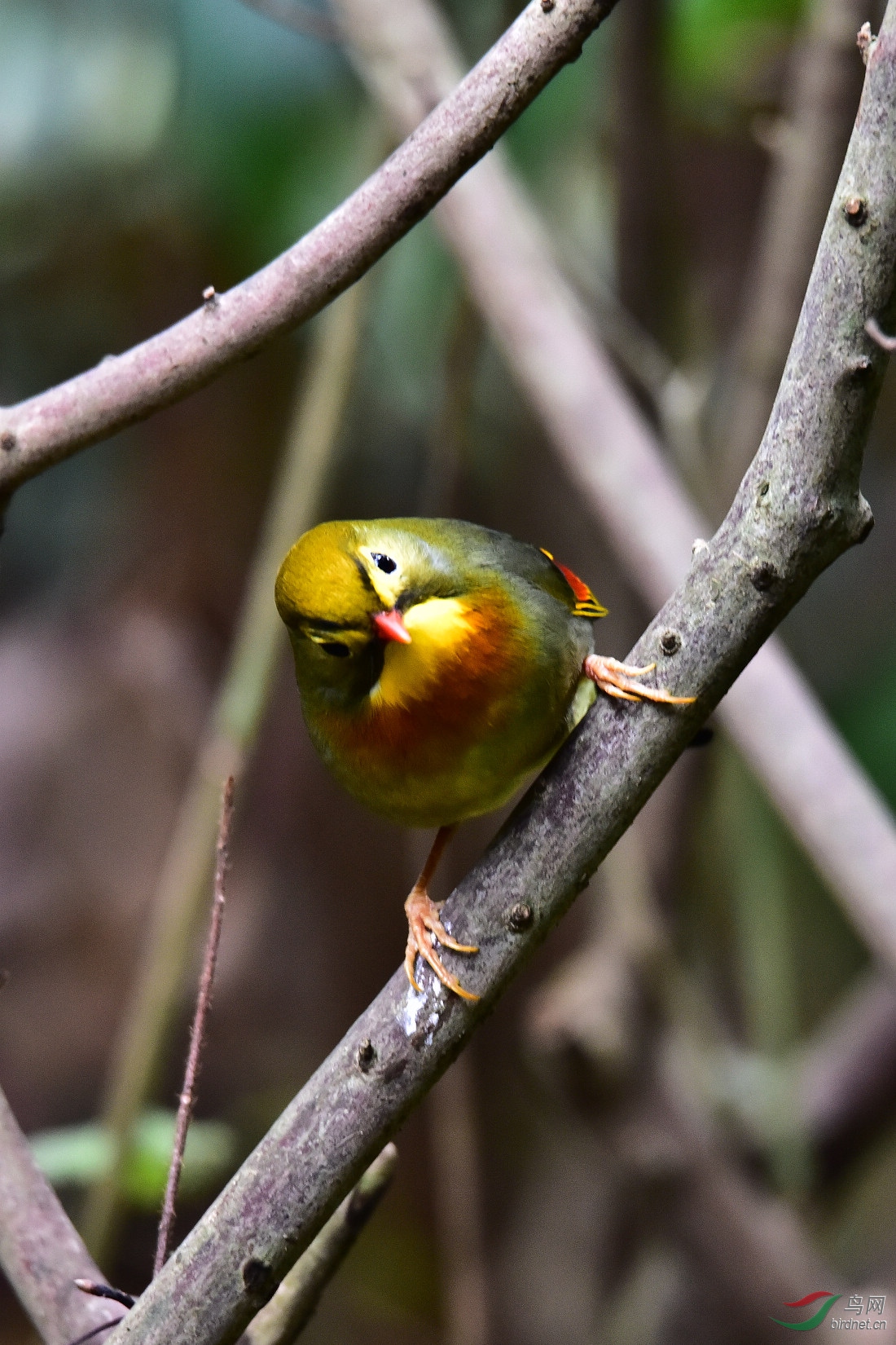 DSC_0103.JPG