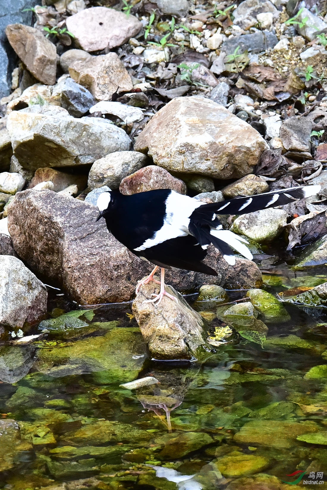 DSC_1234.JPG