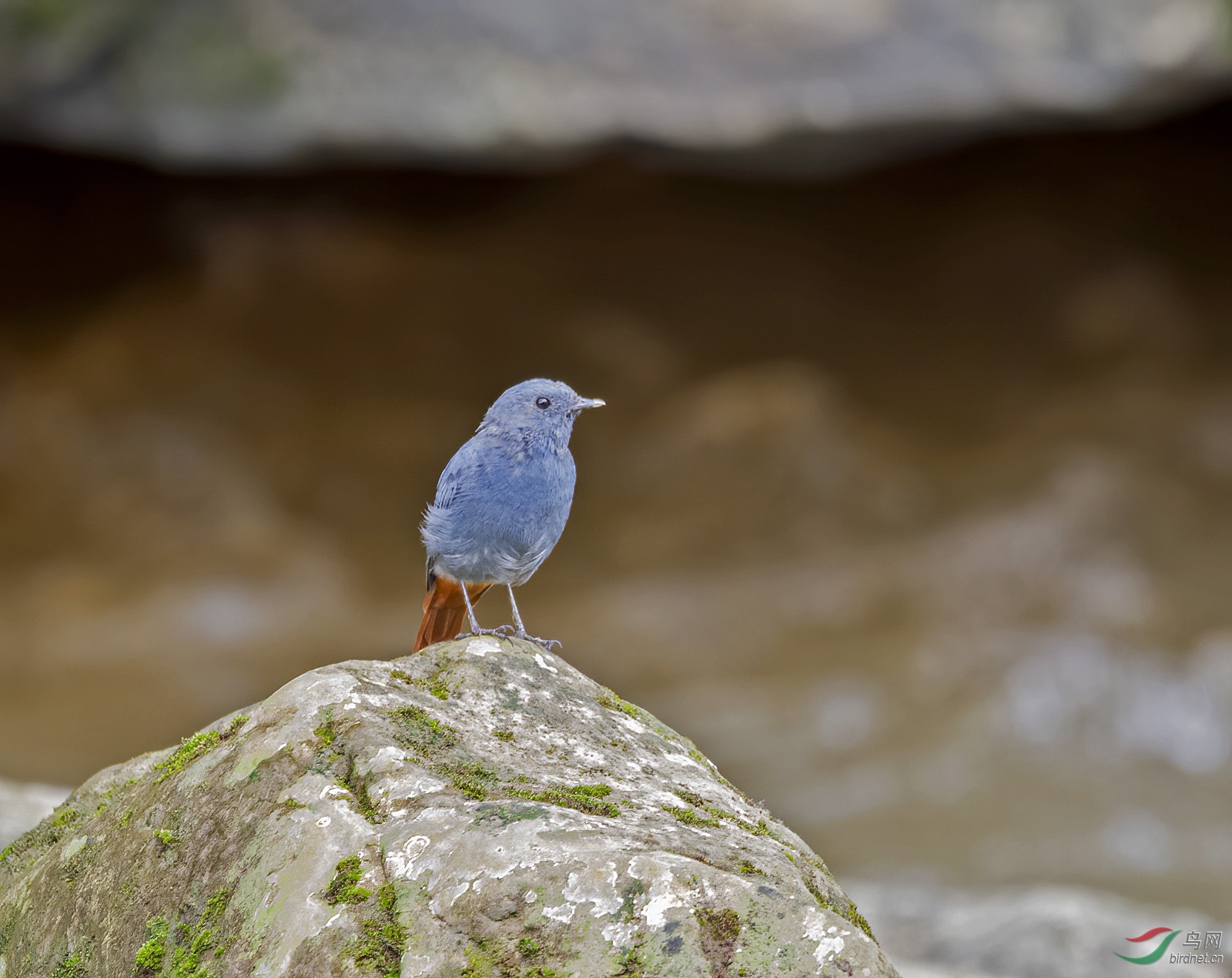 DSC_4003.jpg