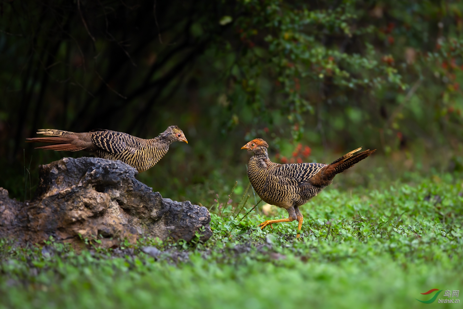 _J0A7208-13.jpg