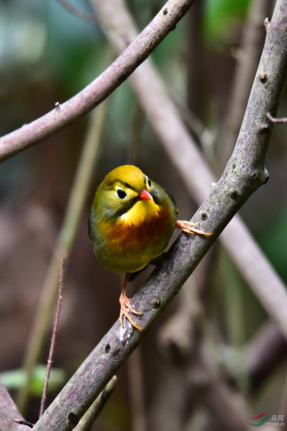 DSC_0106.JPG