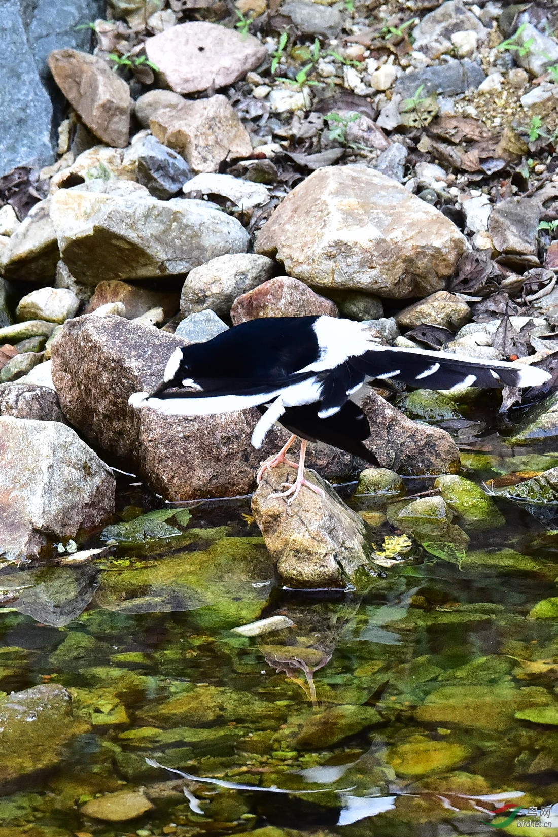 DSC_1236.JPG