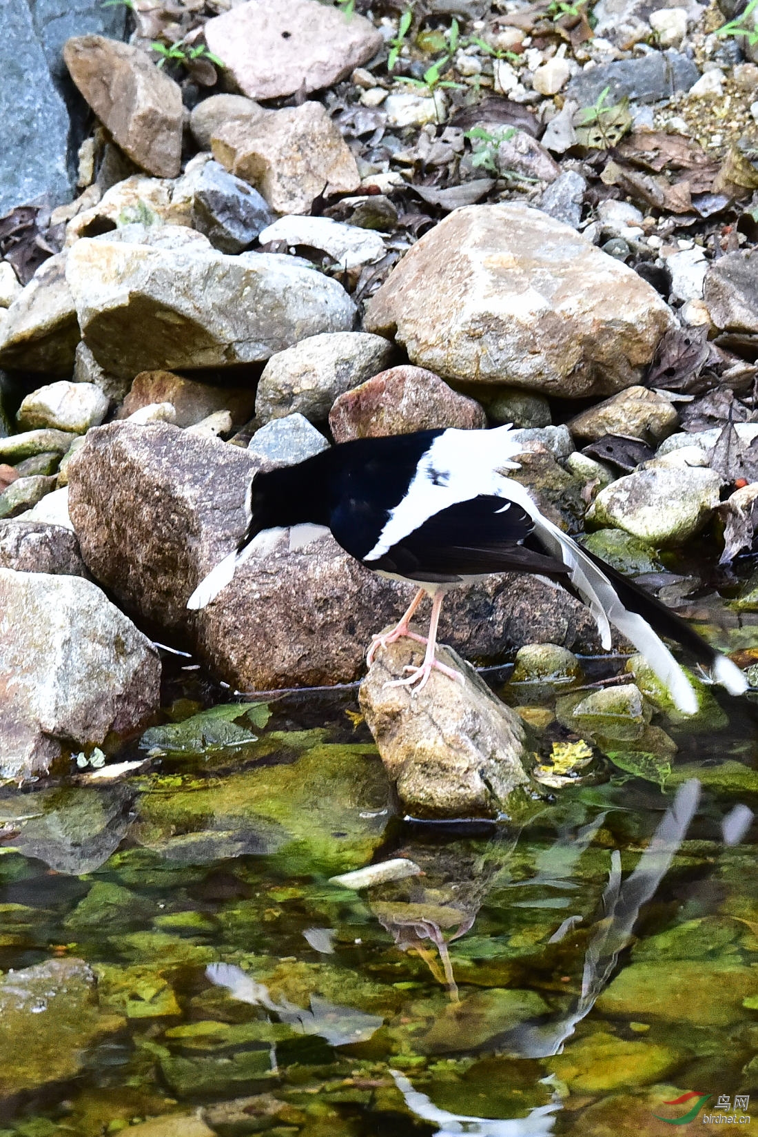 DSC_1238.JPG