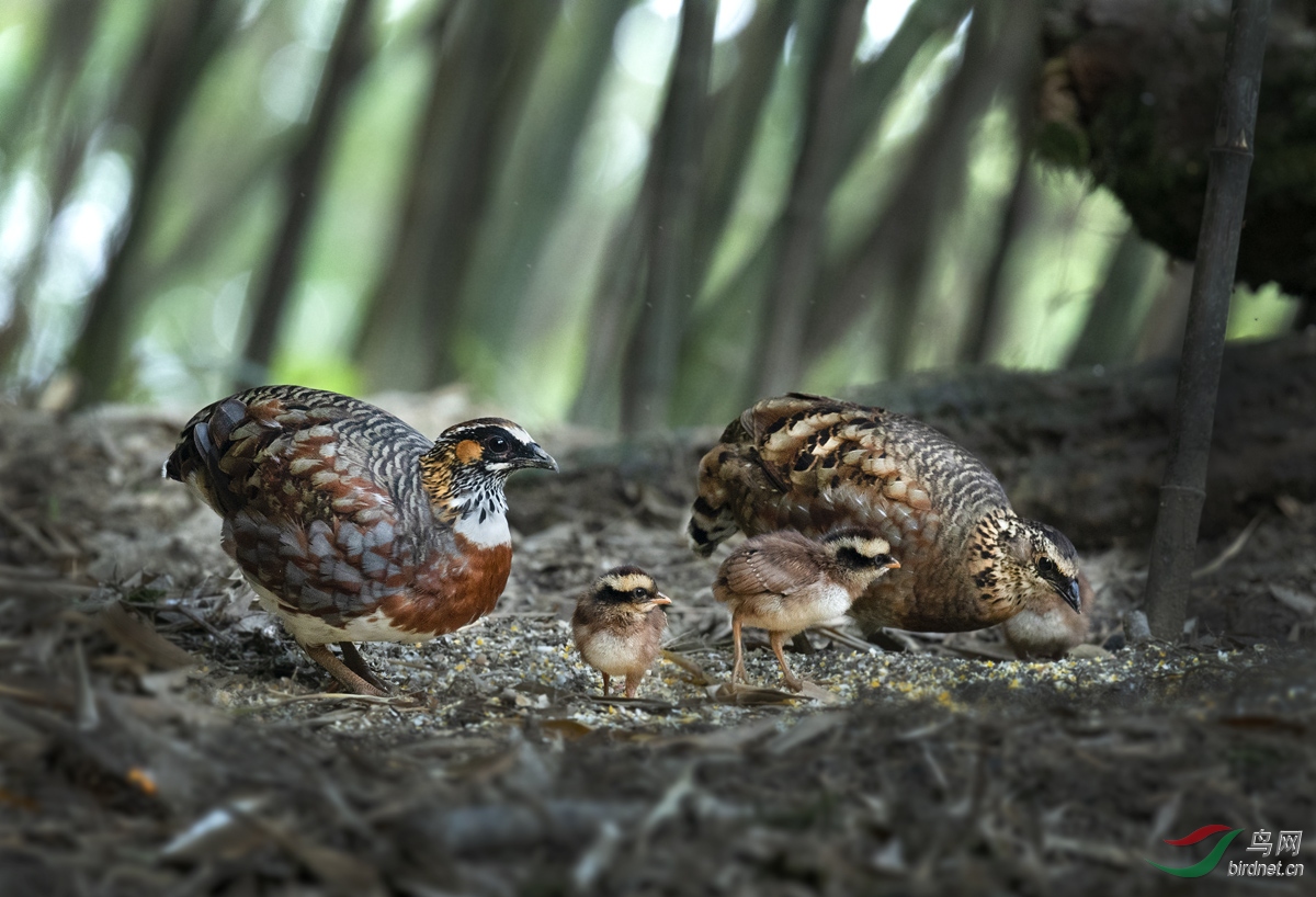 DSC_1404-2.jpg