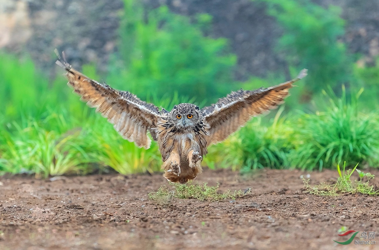 ����ʮ��