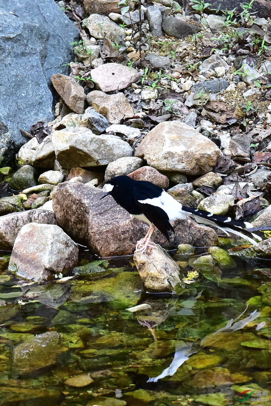 DSC_1242.JPG